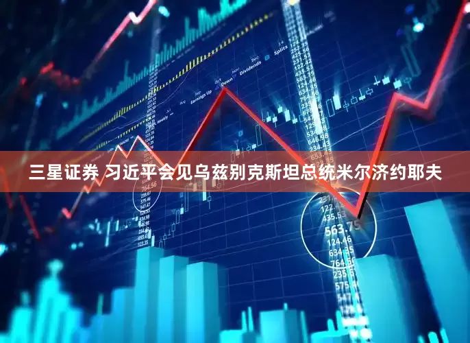 三星证券 习近平会见乌兹别克斯坦总统米尔济约耶夫