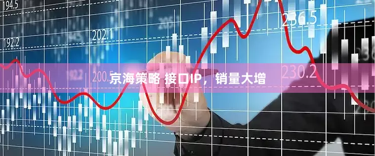 京海策略 接口IP，销量大增
