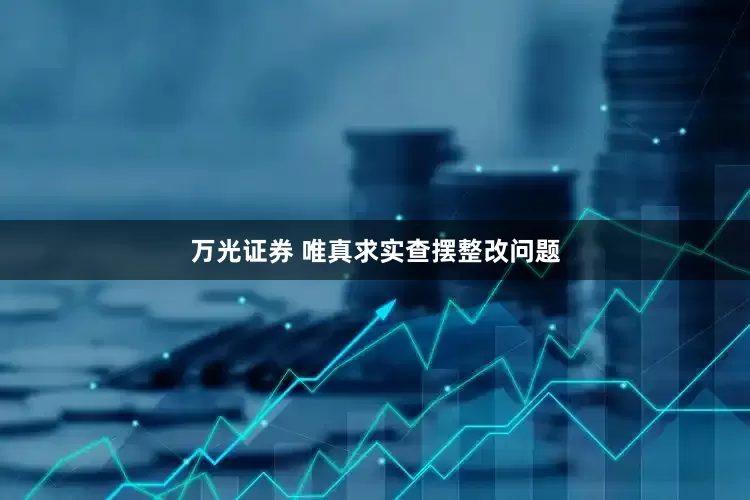 万光证券 唯真求实查摆整改问题