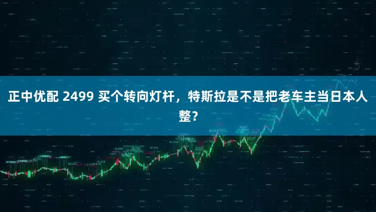 正中优配 2499 买个转向灯杆，特斯拉是不是把老车主当日本人整？