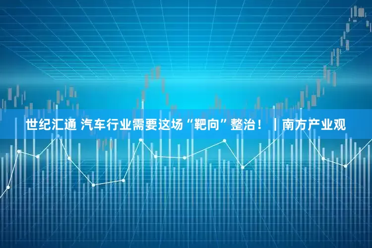 世纪汇通 汽车行业需要这场“靶向”整治！｜南方产业观